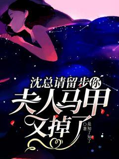 沈总请留步,你夫人马甲又掉了