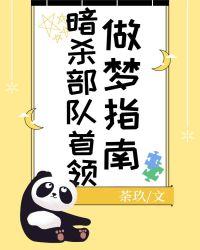 暗杀部队首领做梦指南