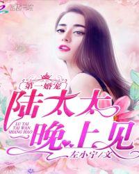 第一婚宠:陆太太,晚上见!