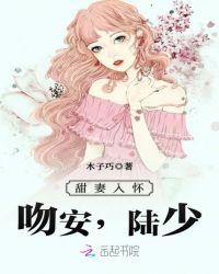 甜妻入怀:吻安,陆少