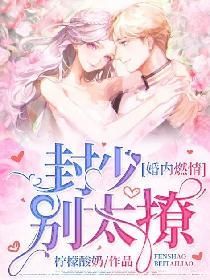 婚内燃情:封少别太撩