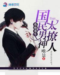 系统重生:国民男神太撩人