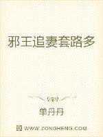 邪王追妻套路多