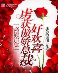 高能治愈:虏获傲娇总裁好欢喜