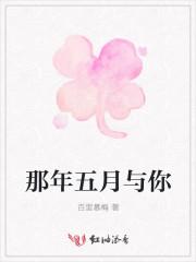 那年五月与你