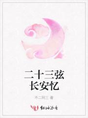 二十三弦长安忆