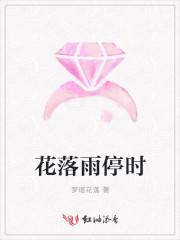 花落雨停时