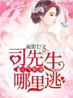 元气娇妻,司先生哪里逃