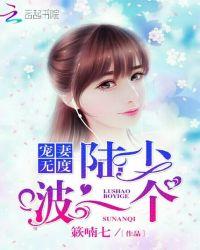 宠妻无度:陆少,啵一个!