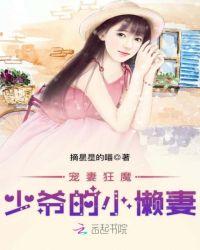 宠妻狂魔:少爷的小懒妻