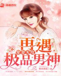 宠妻无度：再遇极品男神