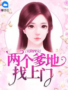天降四宝:两个爹地找上门