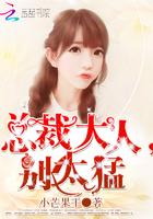 总裁大人,别太猛