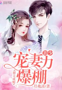 撩夫成瘾:裴少宠妻力爆棚!