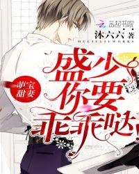 萌宝甜妻,盛少你要乖乖哒!