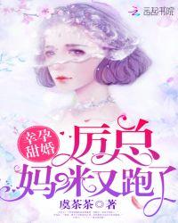 幸孕甜婚：厉总，妈咪又跑了！