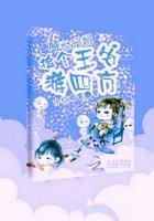 倾世宠妃:捡个王爷游四方