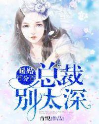 暖婚百分百-总裁别太深