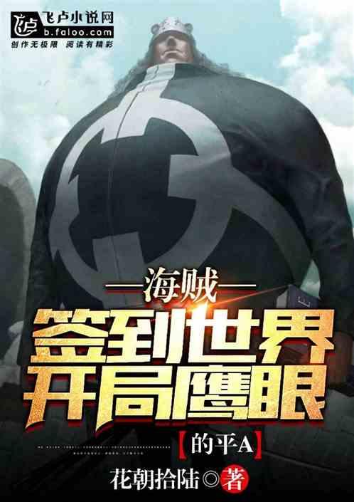 人在海贼:开局鹰眼的平a