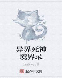 异界死神境界录