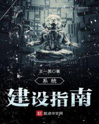 系统建设指南