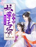 绝世冷妃妖孽王爷请入赘