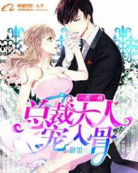 一次一夜:总裁大人宠入骨