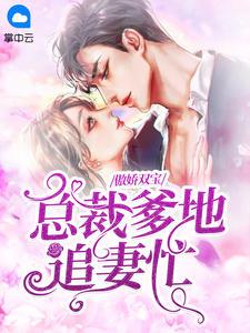 傲娇双宝:总裁爹地追妻忙