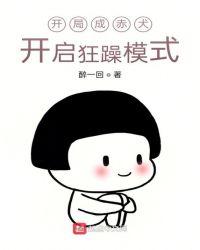 开局成赤犬,开启狂躁模式