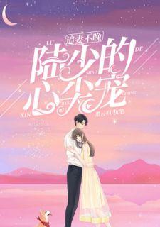 追妻不晚:陆少的心尖宠