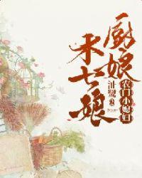 农门小媳妇:厨娘木七娘