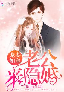 宠妻如命:老公,来隐婚!