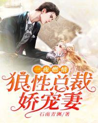 一夜燃情:狼性总裁娇宠妻