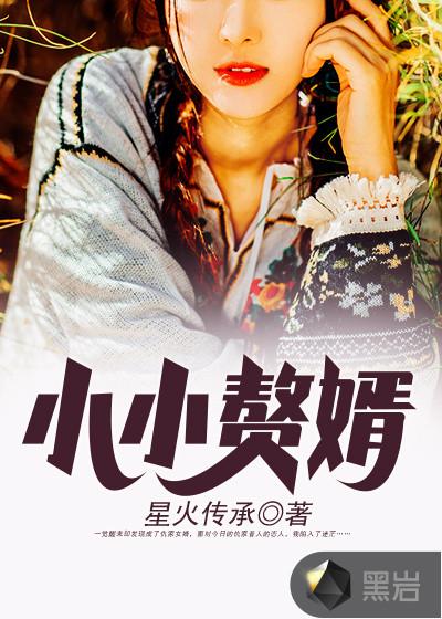 小小赘婿