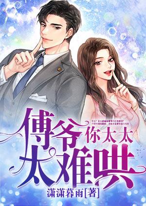 傅爷,你太太太难哄