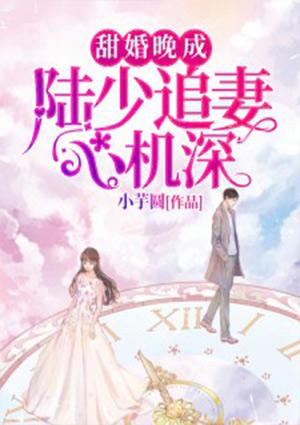 甜婚晚成:陆少追妻心机深