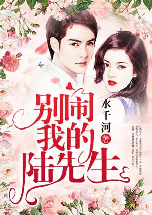 别闹,我的陆先生