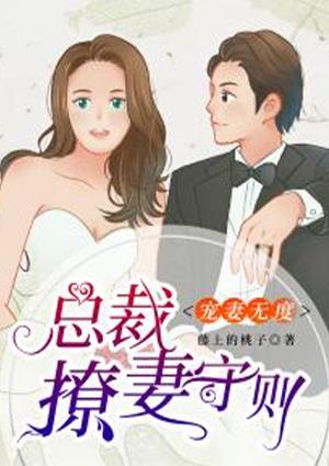 宠妻无度:总裁撩妻守则
