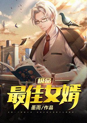 极品最佳女婿