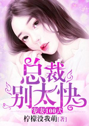 宠妻100式:总裁,别太快