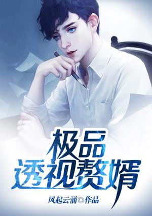 极品透视赘婿