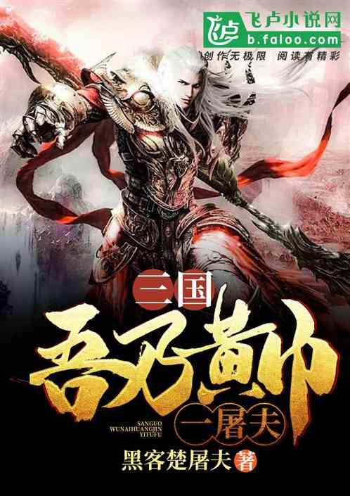 三国，吾乃黄巾一屠夫