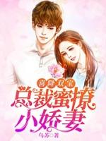 喜降双宝总裁蜜撩小娇妻