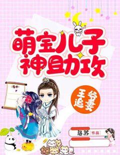 王爷追妻:萌宝儿子神助攻