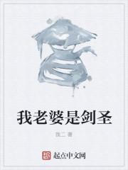 我老婆是剑圣