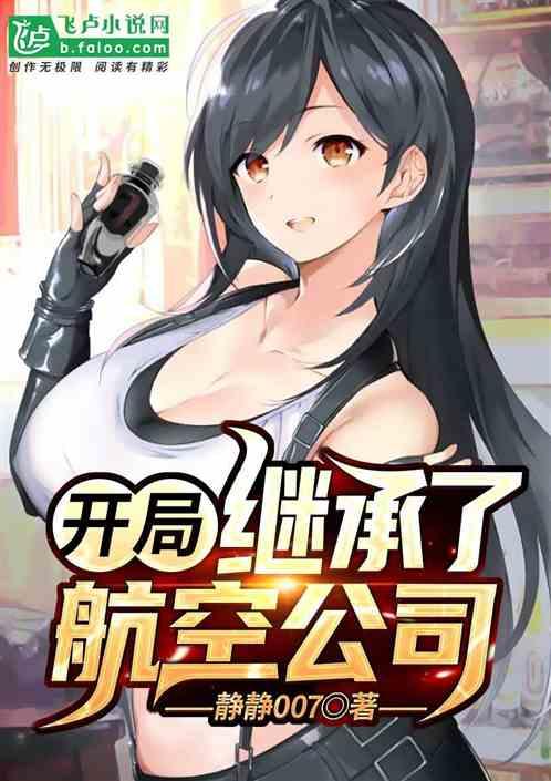 开局继承了航空公司