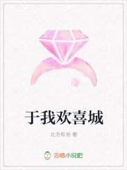 于我欢喜城
