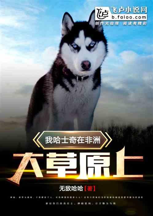 我,哈士奇,在非洲大草原上!