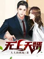 无上天婿