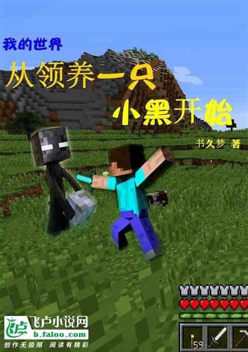 我的世界:从领养一只小黑开始